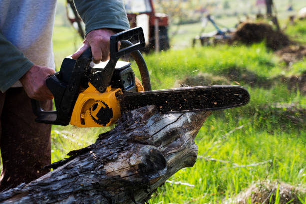 Best Tree Preservation Services  in Lewisville, WA